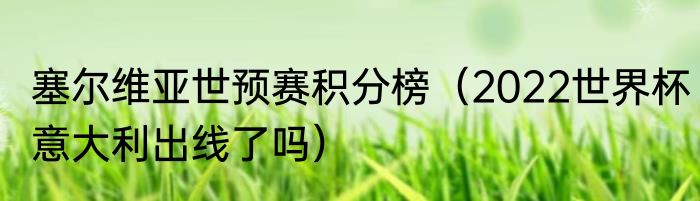 塞尔维亚世预赛积分榜（2022世界杯意大利出线了吗）