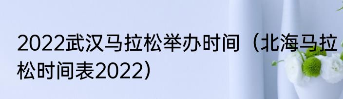 2022武汉马拉松举办时间（北海马拉松时间表2022）