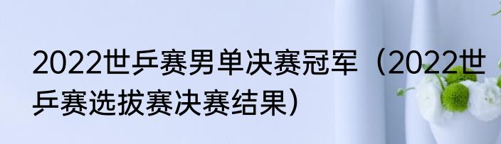 2022世乒赛男单决赛冠军（2022世乒赛选拔赛决赛结果）