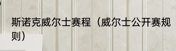 斯诺克威尔士赛程（威尔士公开赛规则）