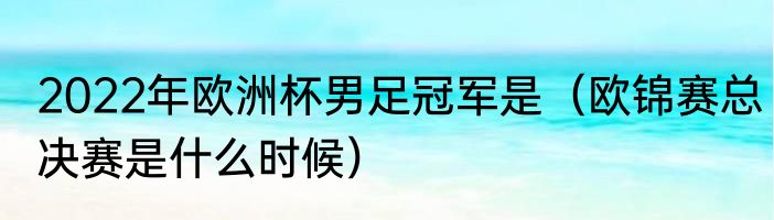 2022年欧洲杯男足冠军是（欧锦赛总决赛是什么时候）