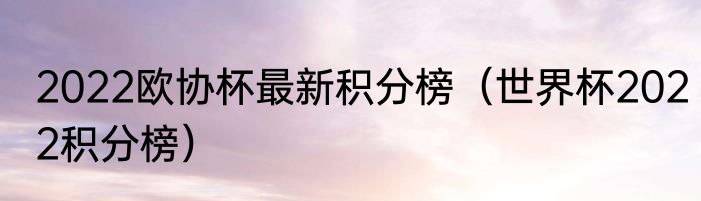 2022欧协杯最新积分榜（世界杯2022积分榜）