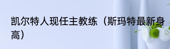 凯尔特人现任主教练（斯玛特最新身高）