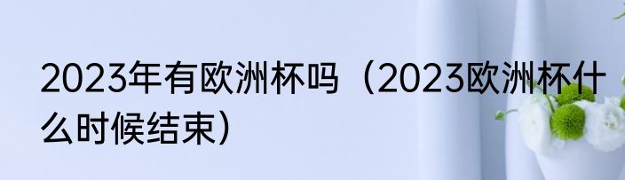 2023年有欧洲杯吗（2023欧洲杯什么时候结束）