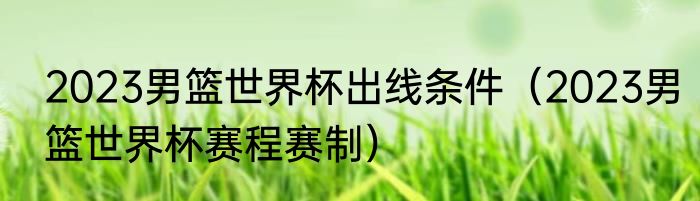 2023男篮世界杯出线条件（2023男篮世界杯赛程赛制）