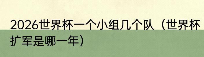 2026世界杯一个小组几个队（世界杯扩军是哪一年）