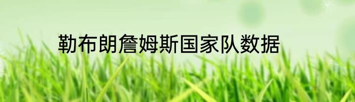 勒布朗詹姆斯国家队数据