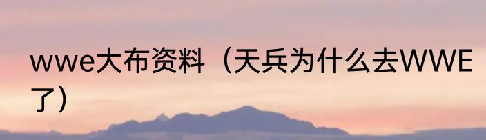 wwe大布资料（天兵为什么去WWE了）