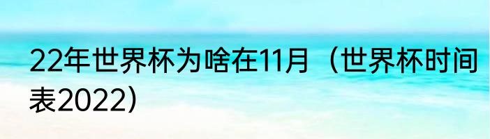 22年世界杯为啥在11月（世界杯时间表2022）