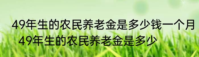 49年生的农民养老金是多少钱一个月  49年生的农民养老金是多少