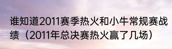 谁知道2011赛季热火和小牛常规赛战绩（2011年总决赛热火赢了几场）