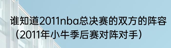 谁知道2011nba总决赛的双方的阵容（2011年小牛季后赛对阵对手）