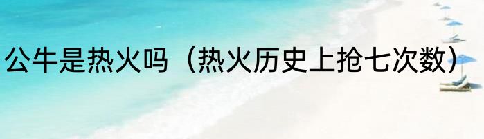 公牛是热火吗（热火历史上抢七次数）