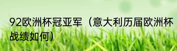 92欧洲杯冠亚军（意大利历届欧洲杯战绩如何）