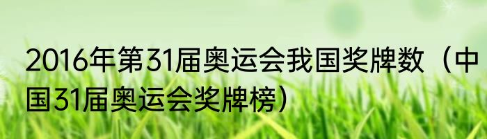 2016年第31届奥运会我国奖牌数（中国31届奥运会奖牌榜）