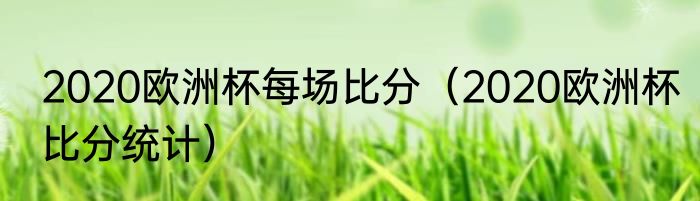 2020欧洲杯每场比分（2020欧洲杯比分统计）