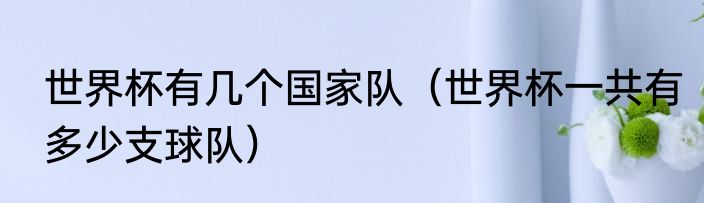 世界杯有几个国家队（世界杯一共有多少支球队）