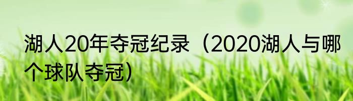 湖人20年夺冠纪录（2020湖人与哪个球队夺冠）