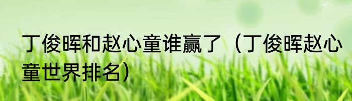 丁俊晖和赵心童谁赢了（丁俊晖赵心童世界排名）