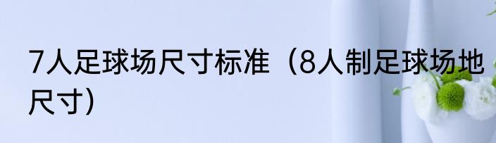 7人足球场尺寸标准（8人制足球场地尺寸）