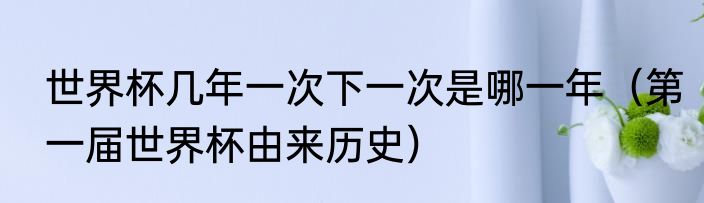 世界杯几年一次下一次是哪一年（第一届世界杯由来历史）