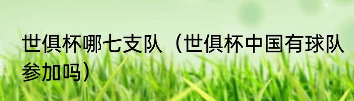 世俱杯哪七支队（世俱杯中国有球队参加吗）