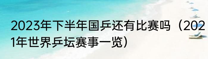 2023年下半年国乒还有比赛吗（2021年世界乒坛赛事一览）