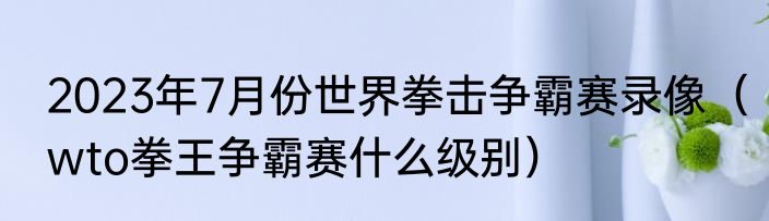 2023年7月份世界拳击争霸赛录像（wto拳王争霸赛什么级别）