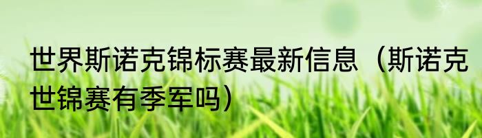 世界斯诺克锦标赛最新信息（斯诺克世锦赛有季军吗）