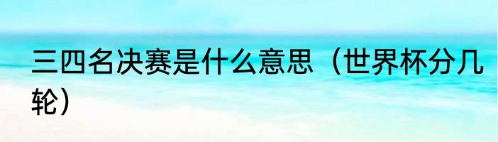 三四名决赛是什么意思（世界杯分几轮）