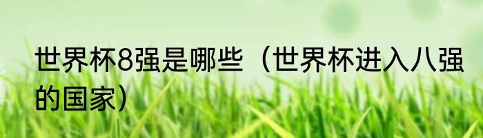 世界杯8强是哪些（世界杯进入八强的国家）