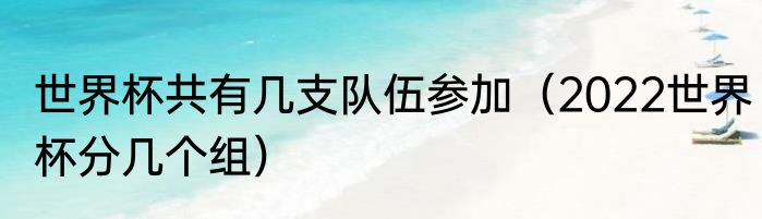 世界杯共有几支队伍参加（2022世界杯分几个组）