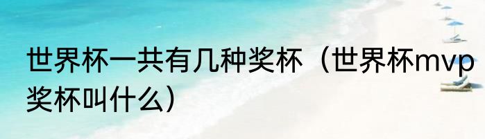 世界杯一共有几种奖杯（世界杯mvp奖杯叫什么）