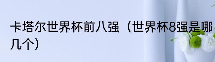 卡塔尔世界杯前八强（世界杯8强是哪几个）