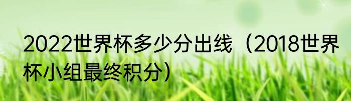 2022世界杯多少分出线（2018世界杯小组最终积分）