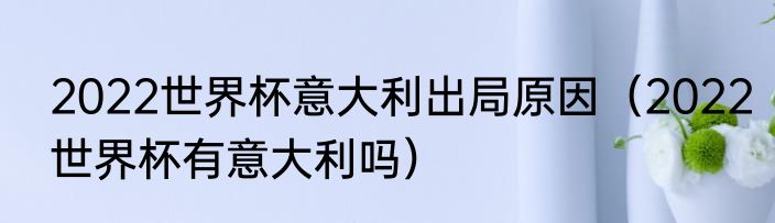 2022世界杯意大利出局原因（2022世界杯有意大利吗）