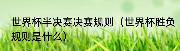 世界杯半决赛决赛规则（世界杯胜负规则是什么）