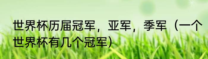 世界杯历届冠军，亚军，季军（一个世界杯有几个冠军）