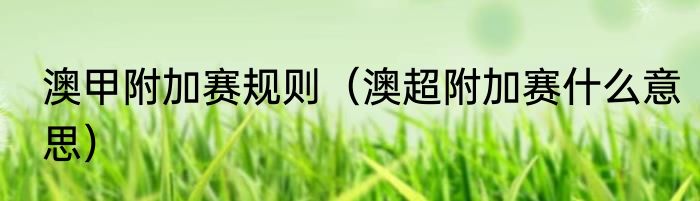 澳甲附加赛规则（澳超附加赛什么意思）