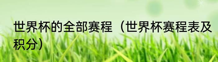 世界杯的全部赛程（世界杯赛程表及积分）