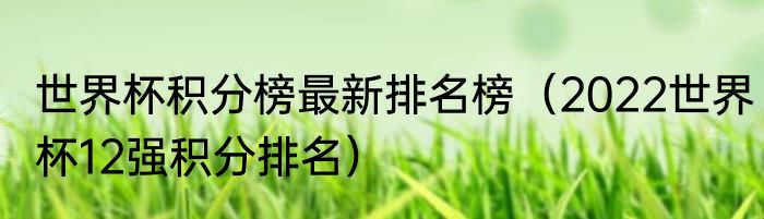 世界杯积分榜最新排名榜（2022世界杯12强积分排名）