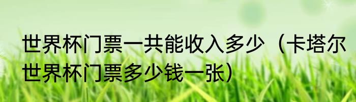 世界杯门票一共能收入多少（卡塔尔世界杯门票多少钱一张）