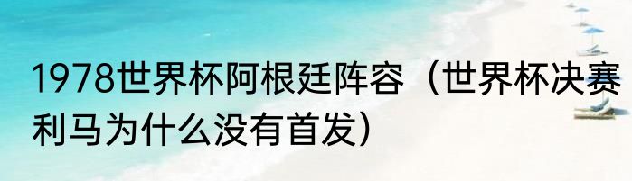 1978世界杯阿根廷阵容（世界杯决赛利马为什么没有首发）