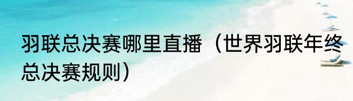 羽联总决赛哪里直播（世界羽联年终总决赛规则）