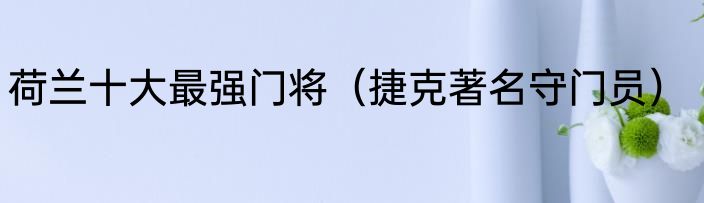 荷兰十大最强门将（捷克著名守门员）