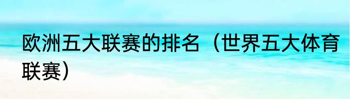 欧洲五大联赛的排名（世界五大体育联赛）