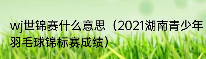 wj世锦赛什么意思（2021湖南青少年羽毛球锦标赛成绩）