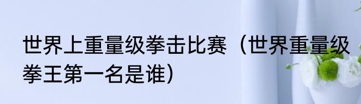 世界上重量级拳击比赛（世界重量级拳王第一名是谁）