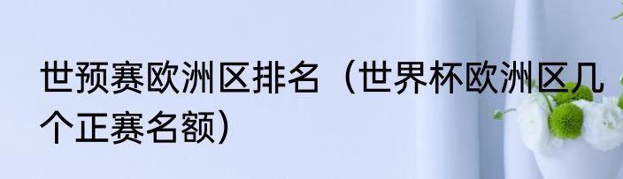 世预赛欧洲区排名（世界杯欧洲区几个正赛名额）