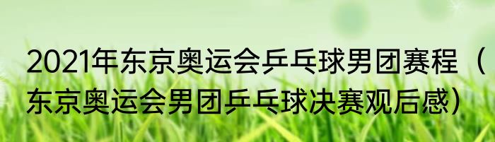 2021年东京奥运会乒乓球男团赛程（东京奥运会男团乒乓球决赛观后感）